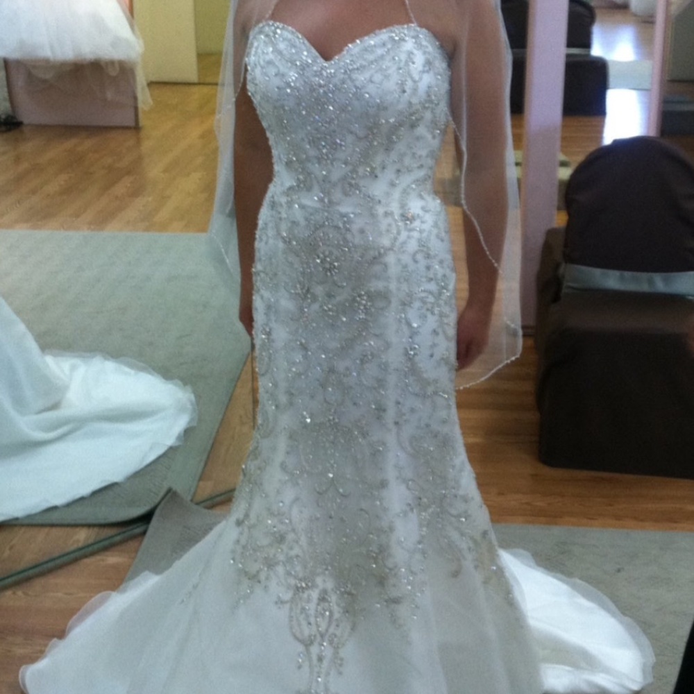 Beautiful Wedding Dress Brand New Shirley Fiore Couture